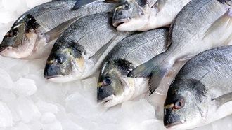 Vis: alle nuttige info